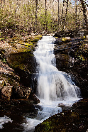 _MG_0959RT