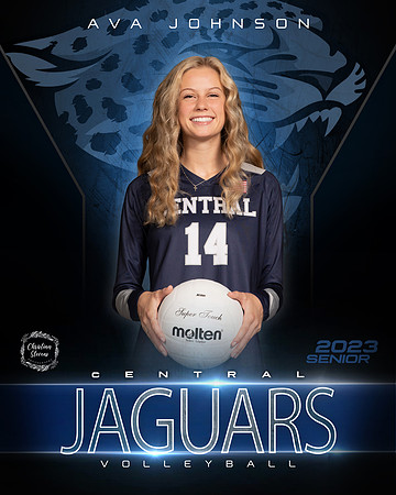 WCS_Vball_Ind_16x20_avalogo